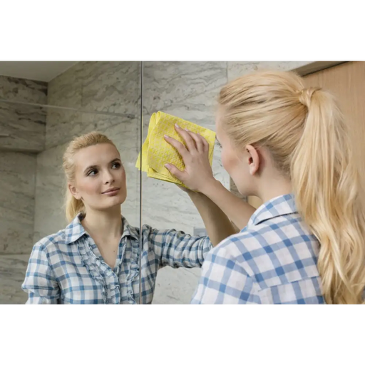 Cleaning Cloth Vileda window’s Actifibre 1 pc(s) - DishtowelsSPD-SCI<<<Cleaning and home careSPD<<<ActionPL