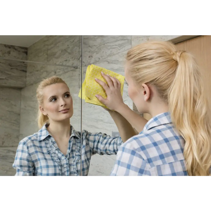 Cleaning Cloth Vileda window’s Actifibre 1 pc(s) - DishtowelsSPD-SCI<<<Cleaning and home careSPD<<<ActionPL