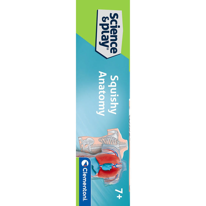 Образователен комплект Clementoni Science & Play - Squishy Anatomy