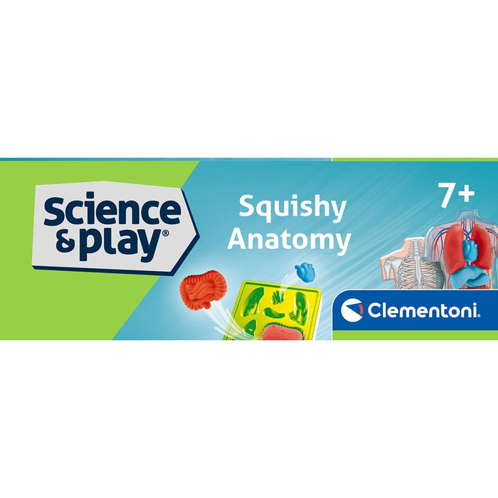 Образователен комплект Clementoni Science & Play - Squishy Anatomy