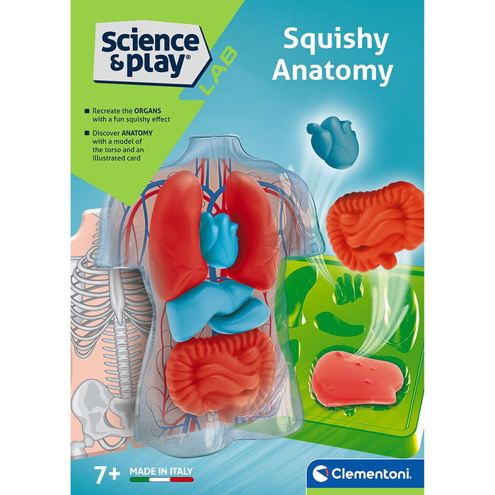 Образователен комплект Clementoni Science & Play - Squishy Anatomy