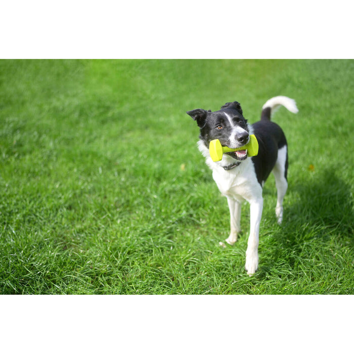 Training toy Coachi TRAINING DUMBBELL