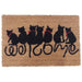 COCONUT/VINYL SCRAPER 40X60 CM. - Изтривалки<<<Мебели и интериор<<<Praktiker