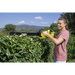 Cordless shears KARCHER HGE 18-50 Battery Set - Hedge shearsNAK-NDZ<<<Cordless toolsNAK<<<ActionPL