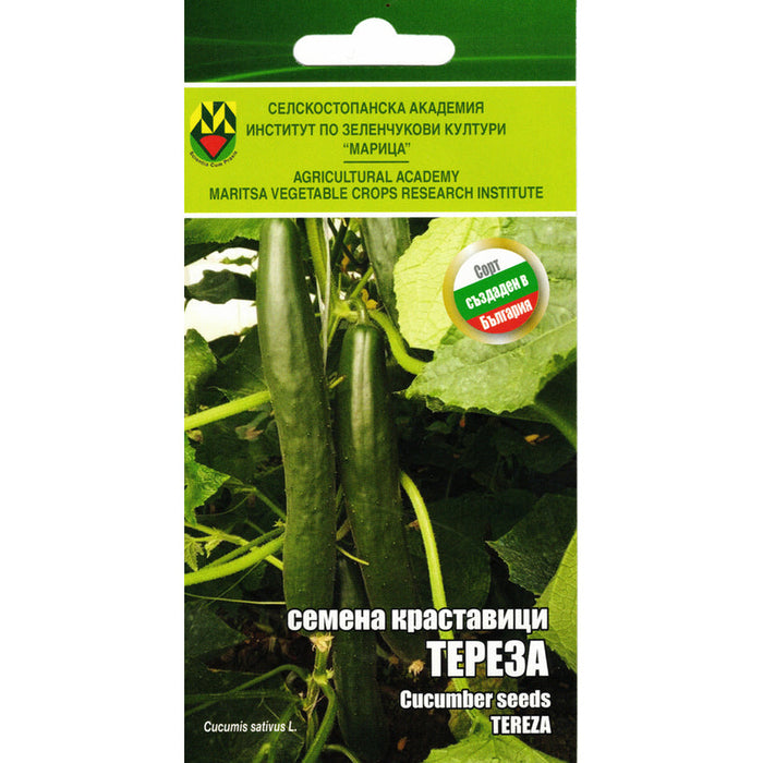 CUCUMBER SEEDS THERESA IZK MARITSA - Семена<<<Семена луковици и разсад<<<Градина<<<Praktiker