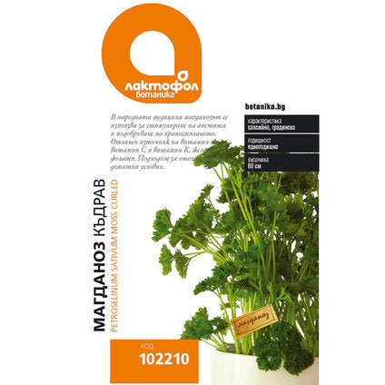 CURLY PARSLEY SEEDS LAKTOFOL BOTANIK - Семена<<<Семена луковици и разсад<<<Градина<<<Praktiker