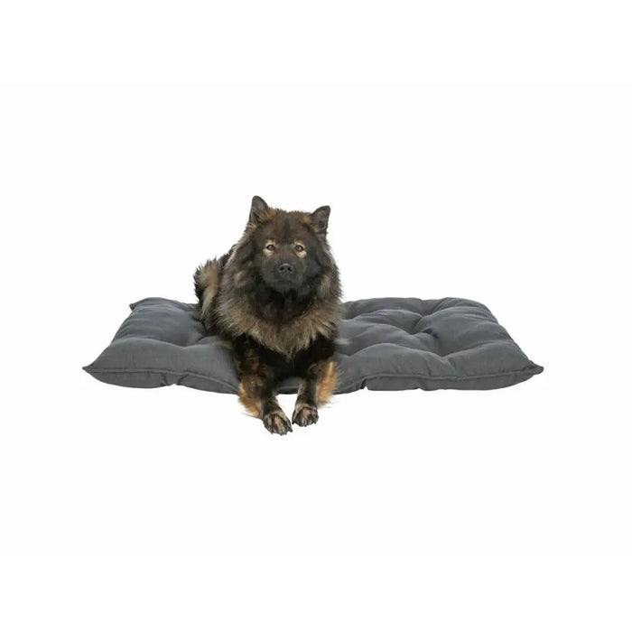 Cushion Trixie Dark grey 59 x 50 cm - Домашни Животни<<<Дом Градина<<<BigBuy&&&Къщички и легълца<<<Домашни