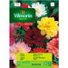 DAHLIA SEEDS HYBRID MIXTURE VILMORIN - Семена<<<Семена луковици и разсад<<<Градина<<<Praktiker