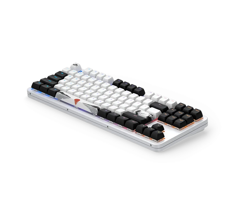 Gaming Mechanical Keyboard Dark Project 87 Fuji V2 RGB TKL - G3MS Sapphire Switches, ABS