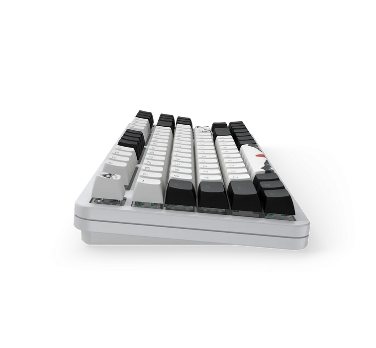 Gaming Mechanical Keyboard Dark Project 87 Fuji V2 RGB TKL - G3MS Sapphire Switches, ABS