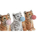 Decorative Figure DKD Home Decor 13,5 x 11 x 15 cm Resin Cat (3 Units) - Декорация и Осветление<<<Дом