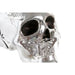 Decorative Figure DKD Home Decor Golden Silver Skull 16,5 x 10,5 x 11,5 cm (2 Units) - Декорация и Осветление<<<Дом