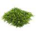 DECORATIVE PANEL 50X50CM 1 PCS IN PACKAGE GREEN WALL 175050 - Изкуствено озеленяване<<<Мрежи и