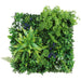 DECORATIVE PANEL 50X50CM 1PCS IN PACKAGE ROSSIMA FERN + MOSS + TROPICAL PLANTS - Изкуствено озеленяване<<<Мрежи и