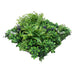 DECORATIVE PANEL 50X50CM 1PCS IN PACKAGE ROSSIMA TROPICAL PLANTS - Изкуствено озеленяване<<<Мрежи и