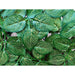 DECORATIVE PANEL 50X50CM 4PCS IN A PACKAGE ROSSIMA AZALEA - Изкуствено озеленяване<<<Мрежи и