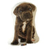 DECORATIVE PILLOW DEON CANE CORSO DOG 32X45 CM - Декоративни възглавници<<<Текстил за спалня<<<Мебели и