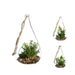 Decorative Plant Atmosphera 10 x 19,5 cm Crystal Green - Декорация и Осветление<<<Дом Градина<<<BigBuy&&&Други артикули