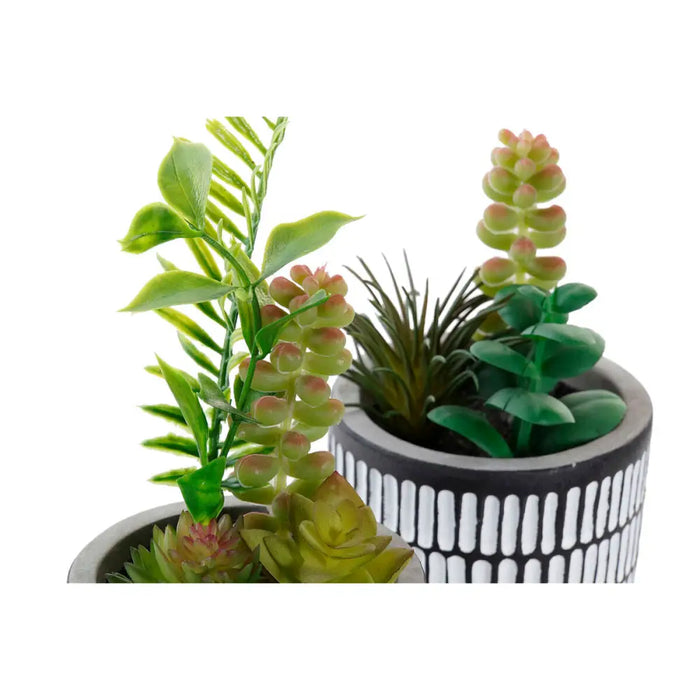 Decorative Plant DKD Home Decor Ceramic Black Polyethylene White Green (7 x 7 x 19 cm) (2 Units) - Декорация и