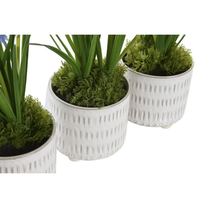 Decorative Plant DKD Home Decor Foam Blue Pink Yellow polypropylene 15 x 15 x 30 cm (3 Pieces) - Декорация и