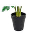 Decorative Plant DKD Home Decor Green PE (20 x 20 x 40 cm) - Декорация и Осветление<<<Дом Градина<<<BigBuy&&&Други