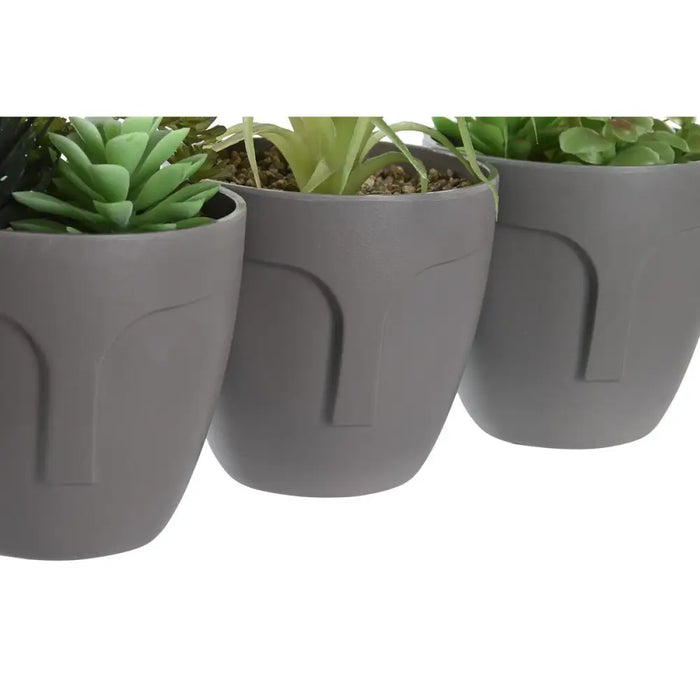 Decorative Plant DKD Home Decor Grey Beige Polyethylene Green polypropylene (11 x 11 x 15 cm) (3 Units) - Декорация и