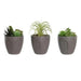 Decorative Plant DKD Home Decor Grey Beige Polyethylene Green polypropylene (11 x 11 x 15 cm) (3 Units) - Декорация и