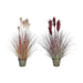 Decorative Plant DKD Home Decor Orange Polyethylene Burgundy Brass 20 x 20 x 90 cm (2 Units) - Декорация и