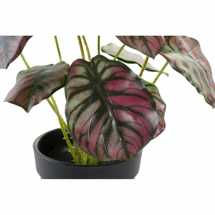 Decorative Plant DKD Home Decor Pink Green PE (10 x 10 x 27 cm) - Декорация и Осветление<<<Дом Градина<<<BigBuy&&&Други