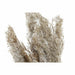 Decorative Plant DKD Home Decor PVC Feathers Natural 35 x 25 x 55 cm (2 Units) - Декорация и Осветление<<<Дом