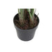 Decorative Plant DKD Home Decor PVC Plastic 100 x 100 x 145 cm - Декорация и Осветление<<<Дом Градина<<<BigBuy&&&Други