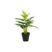 Decorative Plant DKD Home Decor PVC polypropylene 25 x 25 x 30 cm - Декорация и Осветление<<<Дом