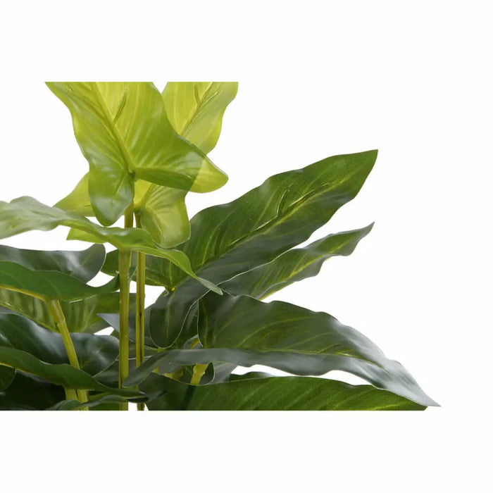 Decorative Plant DKD Home Decor PVC polypropylene 25 x 25 x 30 cm - Декорация и Осветление<<<Дом
