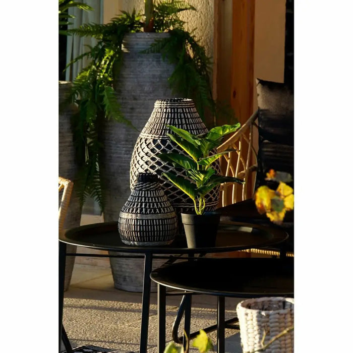 Decorative Plant DKD Home Decor PVC polypropylene 25 x 25 x 30 cm - Декорация и Осветление<<<Дом