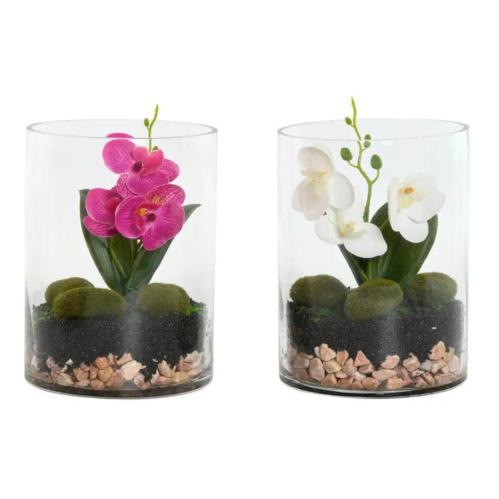 Decorative Plant Home ESPRIT PVC Crystal 15 x 15 x 20 cm (2 Units) - Декорация и Осветление<<<Дом