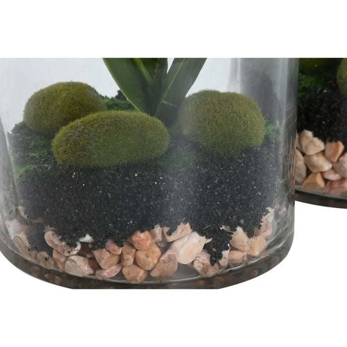 Decorative Plant Home ESPRIT PVC Crystal 15 x 15 x 20 cm (2 Units) - Декорация и Осветление<<<Дом