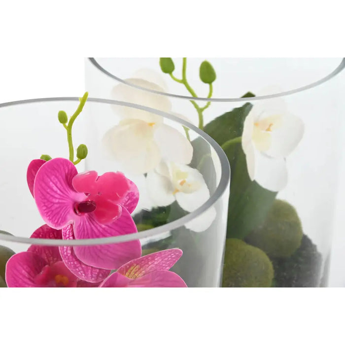 Decorative Plant Home ESPRIT PVC Crystal 15 x 15 x 20 cm (2 Units) - Декорация и Осветление<<<Дом