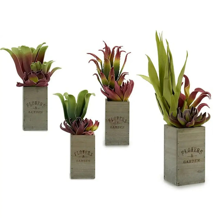 Decorative Plant Ibergarden Flowers Garden 10 x 50 x 10 cm Brown Green (4 Units) - Декорация и Осветление<<<Дом