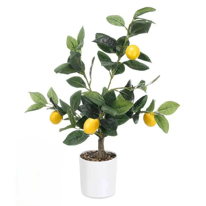 Decorative Plant Ibergarden Foam Polyethylene Melamin Lemon tree 40 x 58 x 38 cm (6 Units) - Декорация и