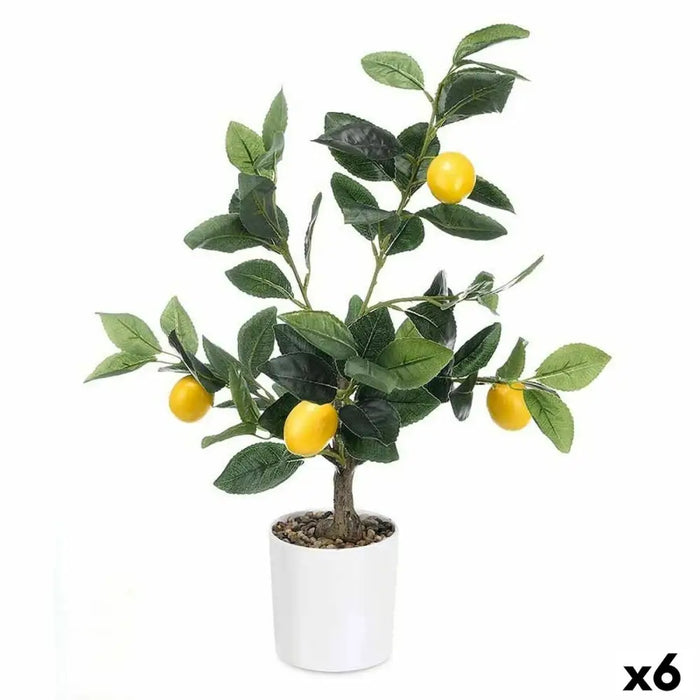 Decorative Plant Ibergarden Foam Polyethylene Melamin Lemon tree 40 x 58 x 38 cm (6 Units) - Декорация и