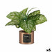Decorative Plant Ibergarden Home Metal Plastic Can 26 x 26 x 26 cm Copper (6 Units) - Декорация и Осветление<<<Дом