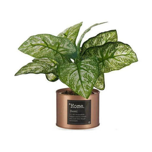 Decorative Plant Ibergarden Home Metal Plastic Can 26 x 26 x 26 cm Copper (6 Units) - Декорация и Осветление<<<Дом