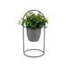Decorative Plant Ibergarden Metal Plastic Sheets Circular 21 x 30 x 21 cm (8 Units) - Декорация и Осветление<<<Дом