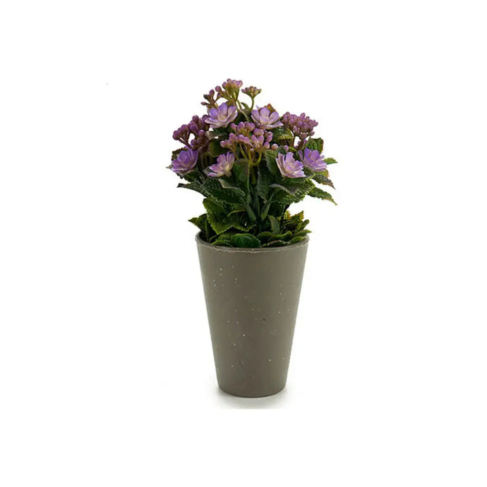Decorative Plant Ibergarden Plastic 11 x 22 x 11 cm - Декорация и Осветление<<<Дом Градина<<<BigBuy&&&Други артикули за