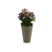 Decorative Plant Ibergarden Plastic 11 x 22 x 11 cm - Декорация и Осветление<<<Дом Градина<<<BigBuy&&&Други артикули за