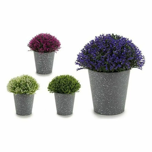 Decorative Plant Ibergarden Plastic 14 x 15 x 14 cm 14 x 16 x 14 cm (12 Units) - Декорация и Осветление<<<Дом