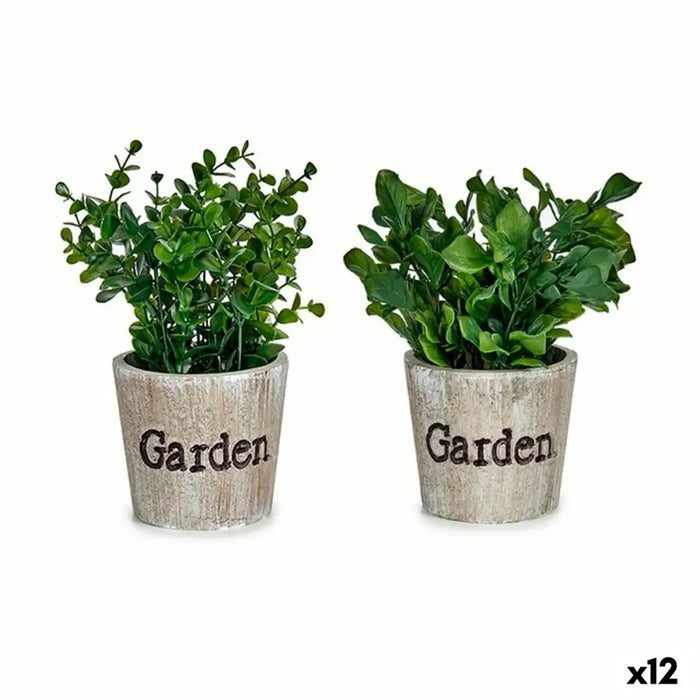 Decorative Plant Ibergarden Plastic 16 x 22 x 16 cm (12 Units) - Декорация и Осветление<<<Дом Градина<<<BigBuy&&&Други