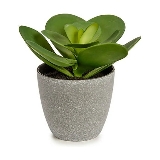 Decorative Plant Ibergarden Plastic 18 x 18,5 x 18 cm (6 Units) - Декорация и Осветление<<<Дом Градина<<<BigBuy&&&Други