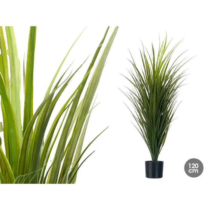 Decorative Plant Ibergarden Plastic 70 x 120 x 70 cm (4 Units) - Декорация и Осветление<<<Дом Градина<<<BigBuy&&&Други