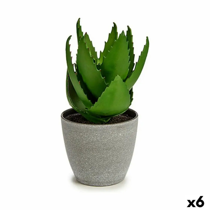 Decorative Plant Ibergarden Plastic Aloe Vera 15 x 23,5 x 15 cm (6 Units) - Декорация и Осветление<<<Дом